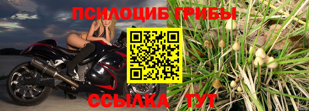 Галлюциногенные грибы MAGIC MUSHROOMS  Вход с VPN  Назарово  наркота  Галлюциногенные грибы Magic Shrooms 