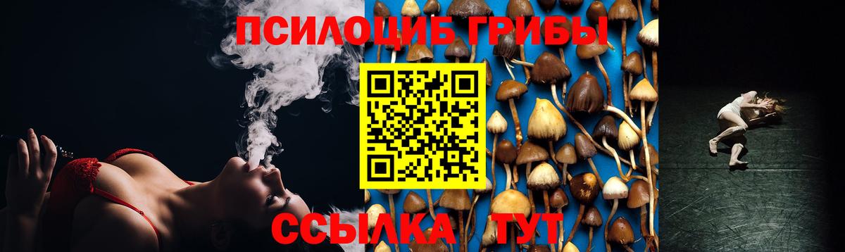 Псилоцибиновые грибы Psilocybe Назарово